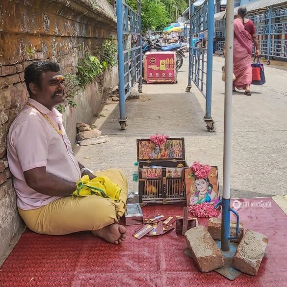 Parrot astrologer